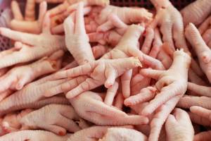 NON GMO Chicken Feet LARGE