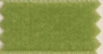 Nylvalour Velvet Ribbon - Reseda / Kiwi LARGE