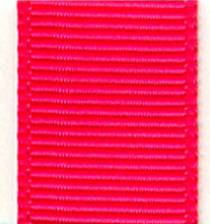 Grosgrain Ribbon (Solid) - Shocking Pink LARGE