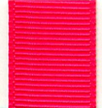 Grosgrain Ribbon (Solid) - Shocking Pink LARGE