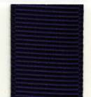 Grosgrain Ribbon (Solid) - Grappa THUMBNAIL