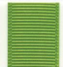 Grosgrain Ribbon (Solid) - Apple Green THUMBNAIL
