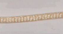 Satin Cord - Ivory LARGE