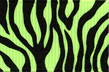 neon zebra print
