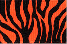 Neon Zebra Print Ribbon (Grosgrain) - Tangerine LARGE