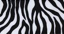 Zebra Fest (Grosgrain)