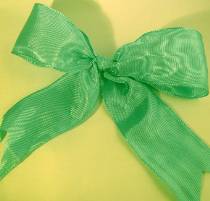 Lyon French Wired Ribbon - Dark Mint LARGE
