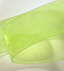 Organdy  Ribbon - Lime LARGE