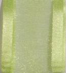 Sheer Ribbon - Delight - Lime THUMBNAIL