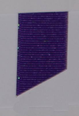Dazzle (Glittered Grosgrain) - Regal Purple LARGE