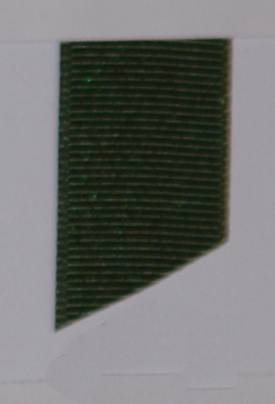 Dazzle (Glittered Grosgrain) - Spring Moss LARGE