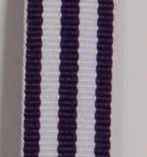 Grosgrain Striped Ribbon - Purple LARGE