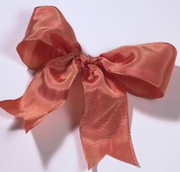 Lyon French Wired Ribbon - Coral LARGE