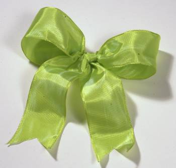 Lyon French Wired Ribbon - Lime LARGE