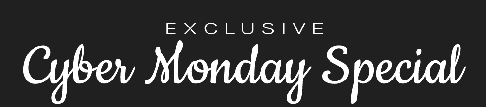 2025 Cyber Monday Case MAIN