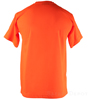 Hi Visibility Orange T-Shirt SWATCH