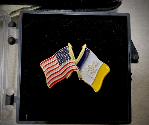 50 Star Flag/SAR Flag Pin THUMBNAIL