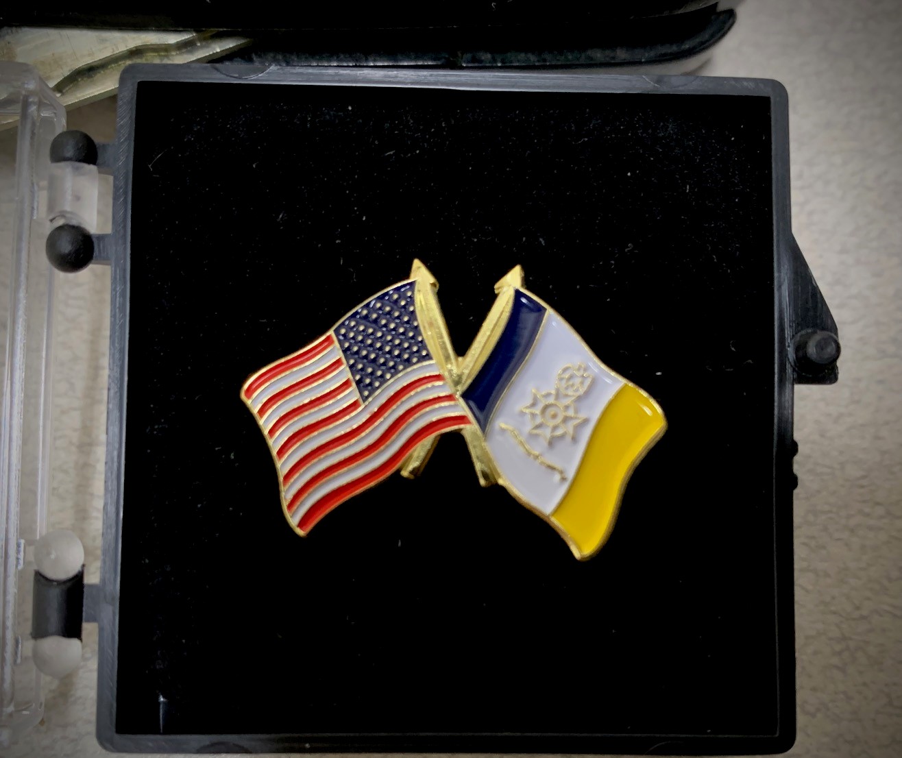 50 Star Flag/SAR Flag Pin MAIN