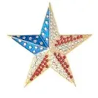 Magnetic Star Brooch MAIN