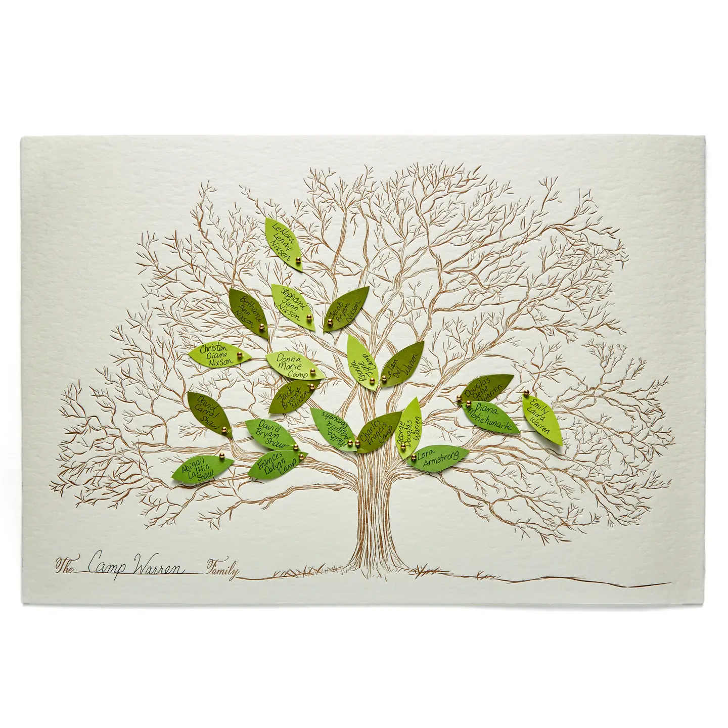 Family Tree Kit LARGE