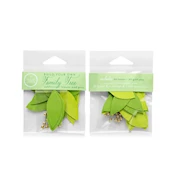Family Tree Kit Refills THUMBNAIL