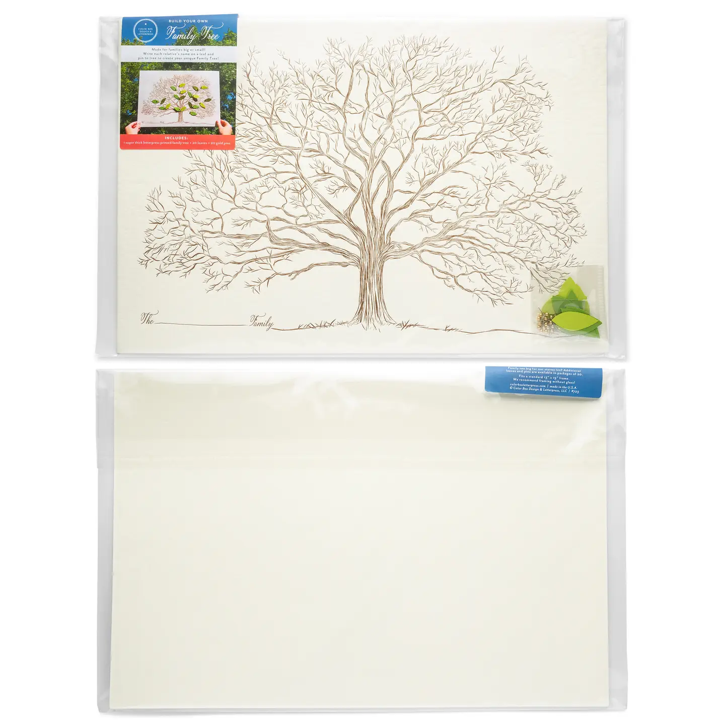 Family Tree Kit SWATCH