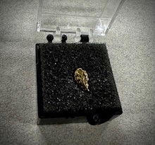 Gold Oak Leaf Cluster LARGE