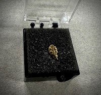 Gold Oak Leaf Cluster MAIN