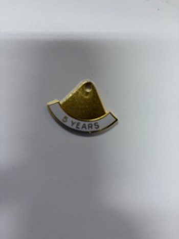 SAR SERVICE Rocker (YEAR/COLOR GUARD/EAGLE SCOUT, ETC) LARGE
