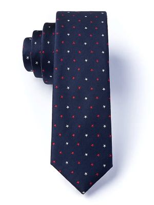 Stars and Stripes Tie LARGE