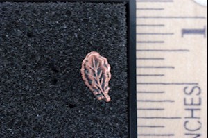 BRONZE OAK LEAF CLUSTER LARGE