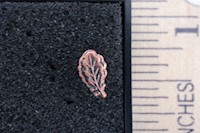 BRONZE OAK LEAF CLUSTER MAIN