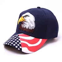 American Eagle Embroidered Hat MAIN