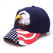American Eagle Embroidered Hat THUMBNAIL