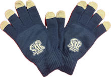 GLOVES: NAVY BLUE, GRAY w/SAR LOGO LARGE