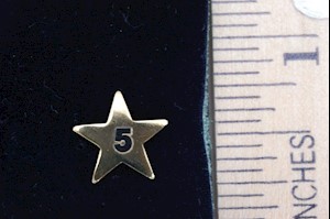 MULTIPLE SUPPLEMENTAL STAR LARGE