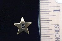 MULTIPLE SUPPLEMENTAL STAR MAIN