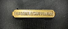 Youth Education Lifetime Achievement Bar LARGE