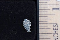 SILVER OAK LEAF CLUSTER MAIN