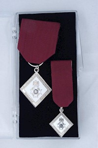 STATE DISTINGUISHED SERVICE MEDAL SET MAIN