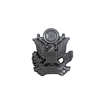 Eagle SAR Lapel Pin LARGE