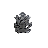 Eagle SAR Lapel Pin MAIN
