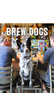 BREW DOGS BOOK THUMBNAIL