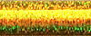 Kreinik #16 Braid 028L Solar Flair THUMBNAIL