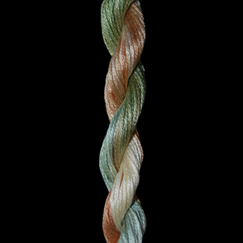 Threadworx Overdyed Floss 1113 Indian Summer (Replaces 166 Pampas Grass) MAIN