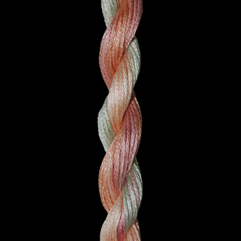 Threadworx Overdyed Floss 1142 Desert Flowers (Replaces 1841 Desert Vista) MAIN