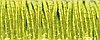 Japan 7 Thread - 115J Lime Green MAIN