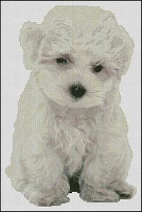 Paula's Patterns - Bichon Puppy MAIN