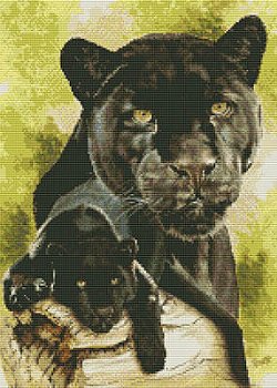 Kustom Krafts - Spirit of the Black Leopard MAIN