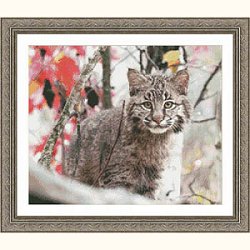 Kustom Krafts - Bobcat Mischief MAIN